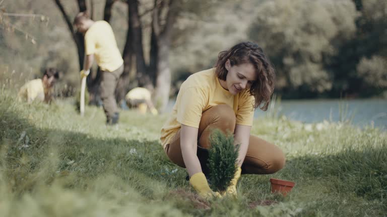 Best Soil Testing and Treatment  in Salinas, CA