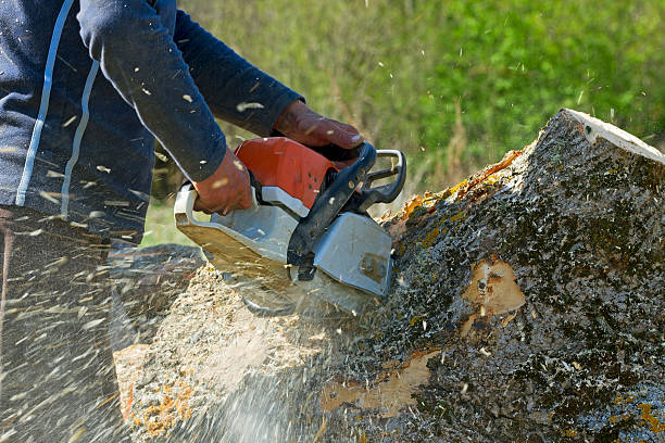 Mulching Services in Salinas, CA
